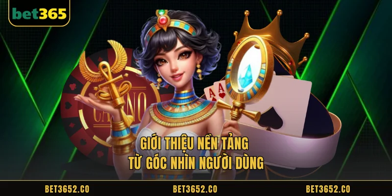 Bet365 user experience overview