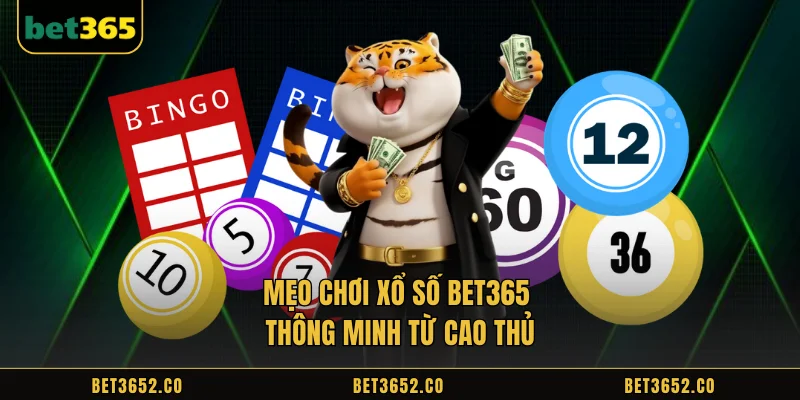 Smart Bet365 lottery strategies from experts